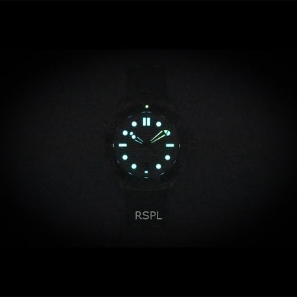 Omega Seamaster Edelstahl graues Zifferblatt automatische Taucheruhr 210.30.42.20.06.001 300M Herrenuhr