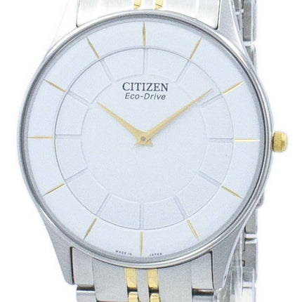 Citizen Eco-Drive Analog AR3014-56A Herrenuhr