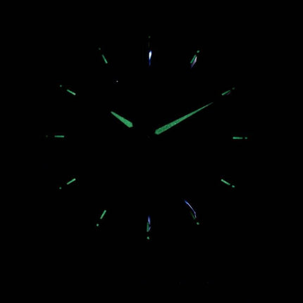 Herrenuhr Citizen Quarz BF2011-51E