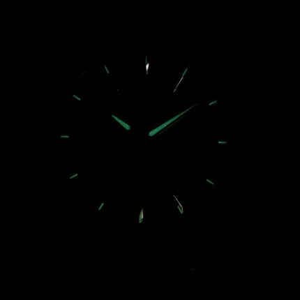 Citizen Quarz-BF2013-56 P Herrenuhr