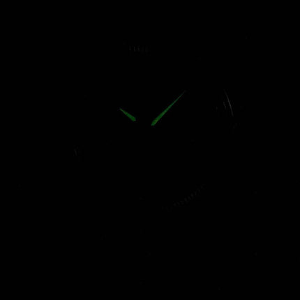 Citizen Quartz BI1081-52E Herrenuhr