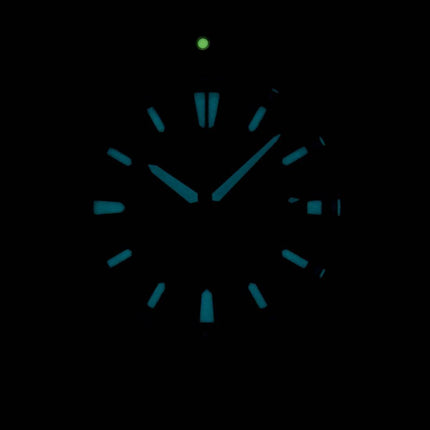 Citizen Eco-Drive Promaster Diver 200M BN0190-15E Herrenuhr