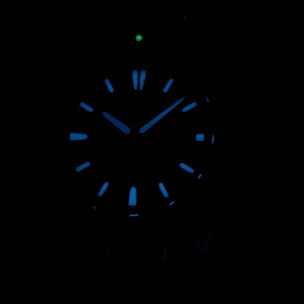 Citizen Promaster Diver BN0198-56H Eco-Drive Herrenuhr