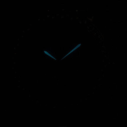 Citizen Eco-Drive Swarovski Kristall Akzente EV1016-58A Damenuhr