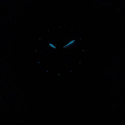 Citizen Riva Eco-Drive EW1534-57D Analog-Frauenwache