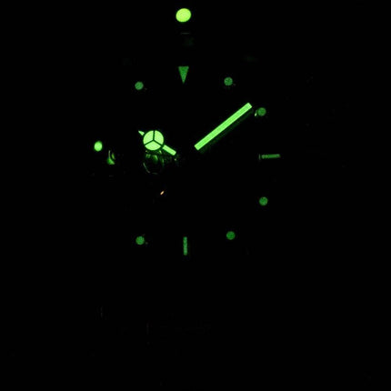 Invicta Pro Diver 21719 Professional automatische 200M Herrenuhr