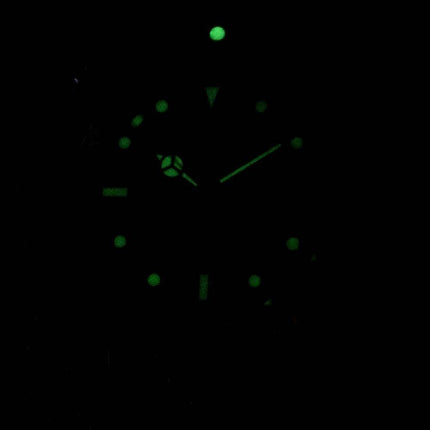 Invicta Pro Diver Professional 29176 Automatik 200M Herrenuhr