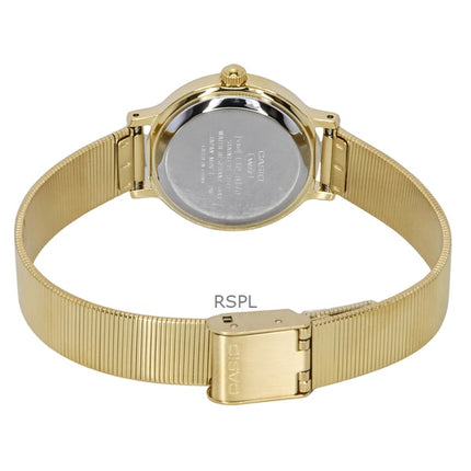 Casio Standard Analog Goldton Edelstahl Braunes Zifferblatt Quarz LTP-B170G-5BV Damenuhr