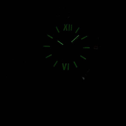 Casio Analog Quarz LTP-E129D-6A LTPE129D-6A Damenuhr
