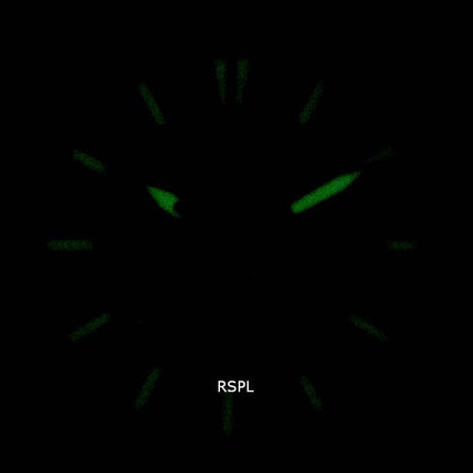 Orient Defender RA-AK0405Y10B Automatische Herrenuhr