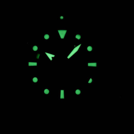 Richten Sie automatische Sporttaucher 200M Power Reserve RA-EL0002L00B Herrenuhr