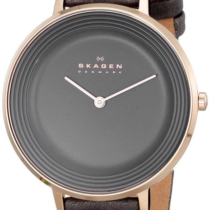 Skagen Ditte Quarz grau Zifferblatt SKW2216 Damenuhr