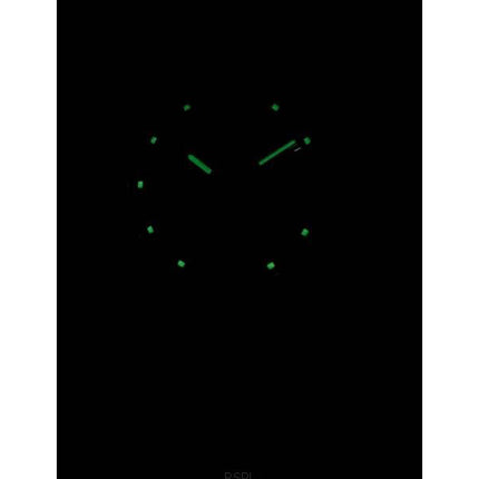 Generalüberholte Seiko 5 Automatik 21 Jewels SNK393 SNK393K1 SNK393K Herrenuhr