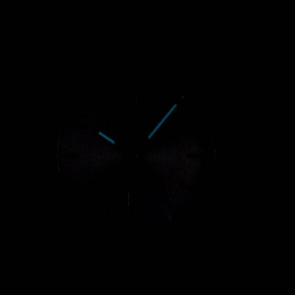 Tissot T-Classic PR 100 Titan Quarz T101.210.44.031.00 T1012104403100 Damenuhr
