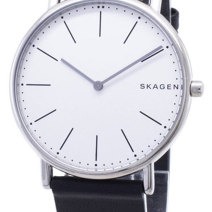 Überholte Skagen Signatur Slim Titan Quarz SKW6419 Herrenuhr
