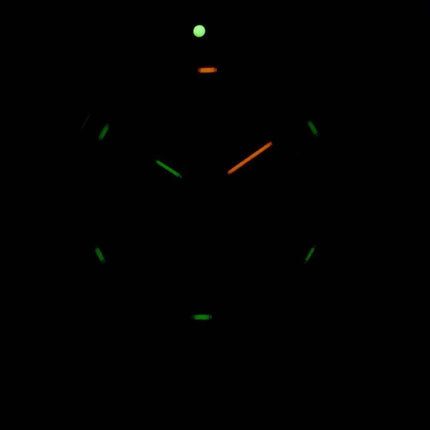 Luminox Leatherback Sea Turtle XS.0337 Quarz Herrenuhr